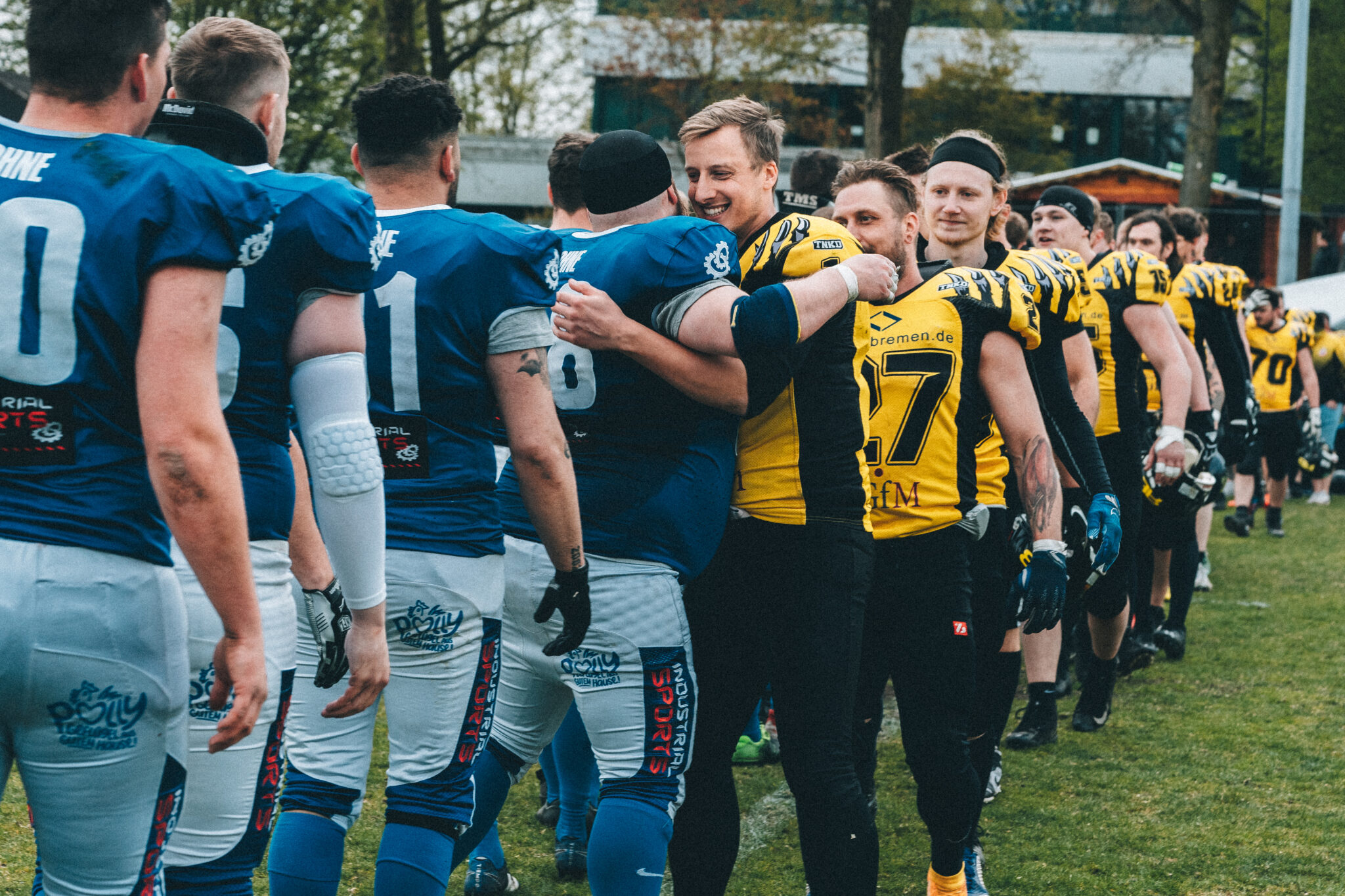 NEWS Lohne Longhorns